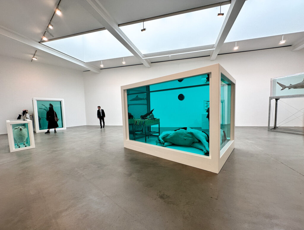 DAMIEN-HIRST-Natural-History-